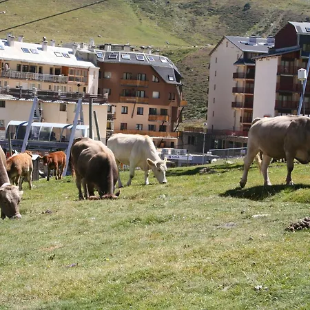 Grifovacances Canigou *